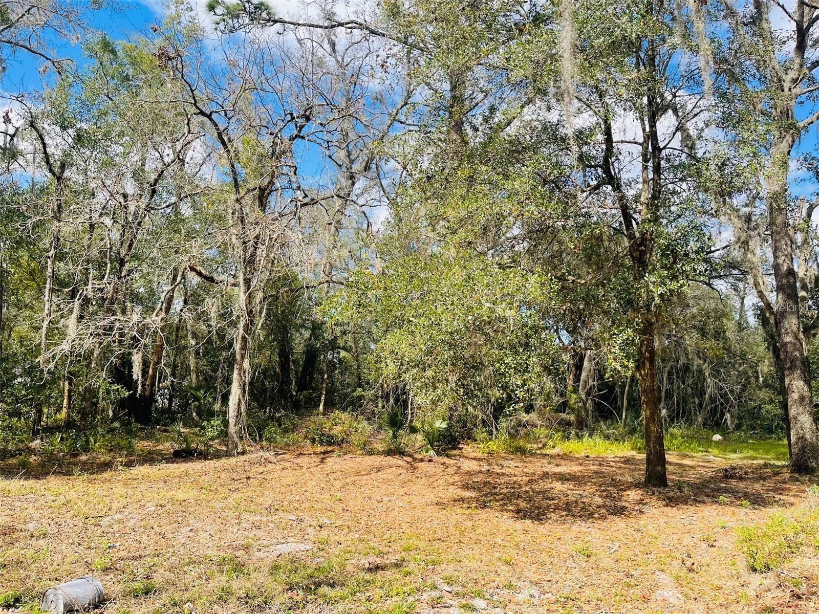 314 S COUNTRY CLUB, LAKE MARY, FL, 32746