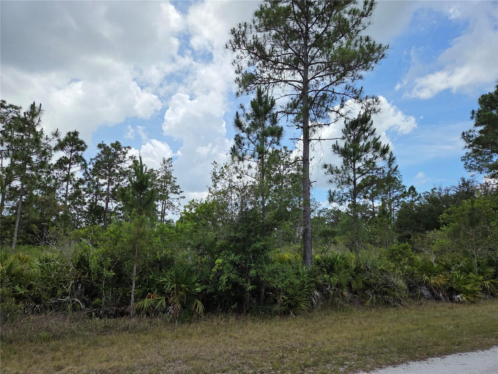 915 LAGUNA DR, INDIAN LAKE ESTATES, FL, 33855