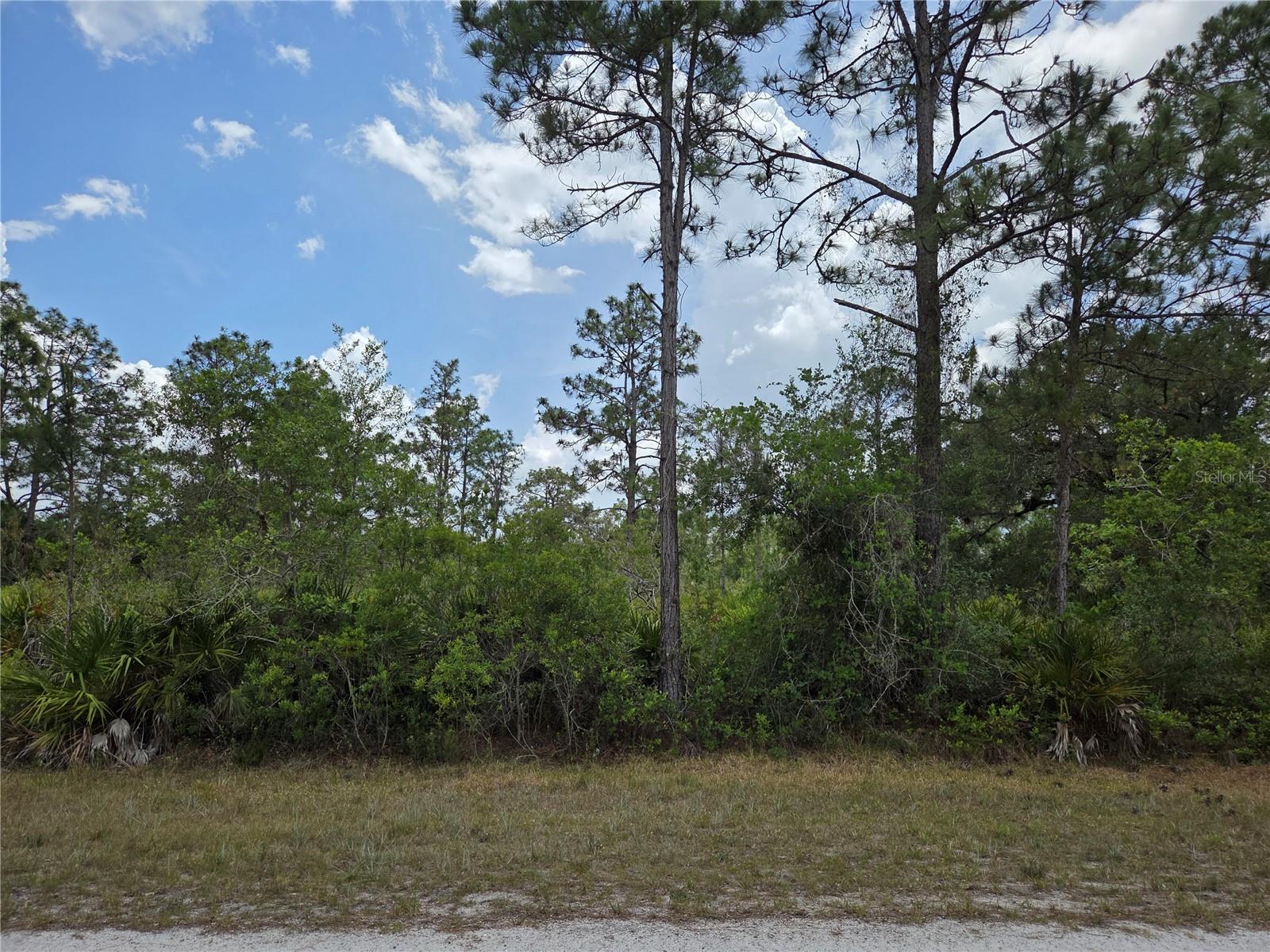 915 LAGUNA DR, INDIAN LAKE ESTATES, FL, 33855