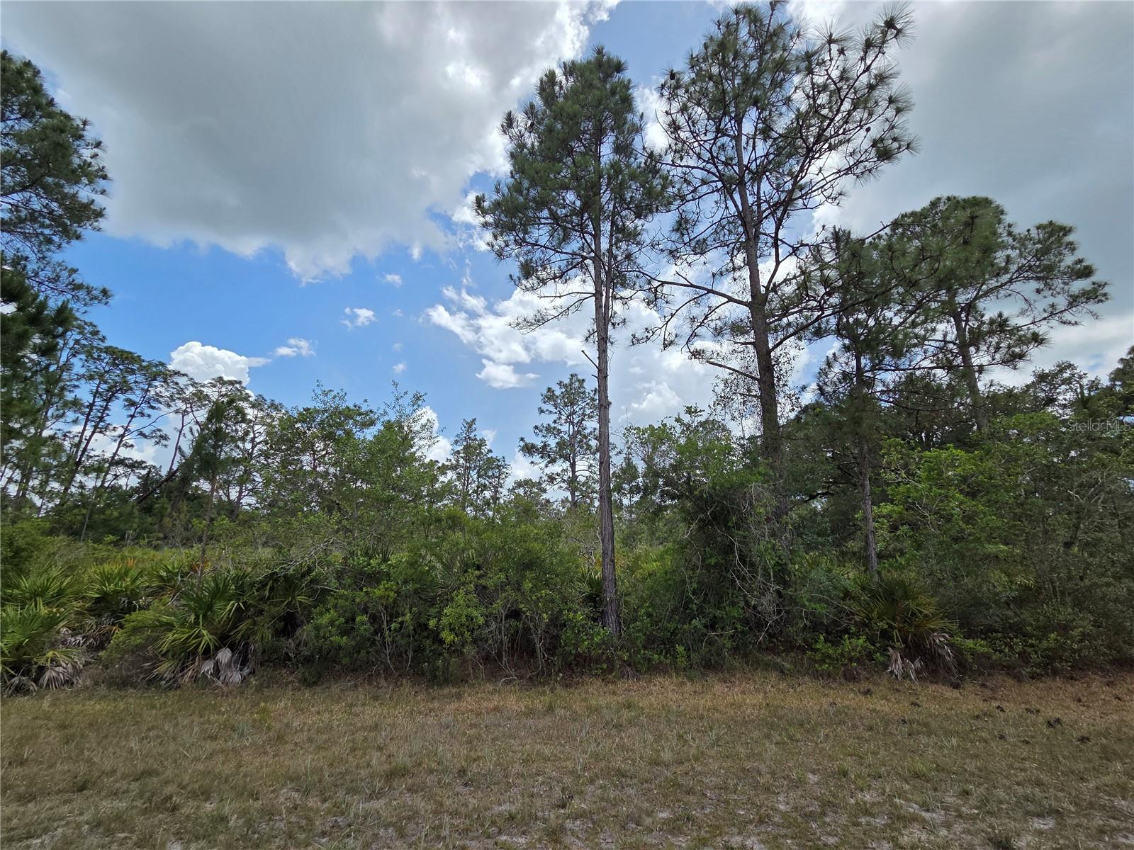 915 LAGUNA DR, INDIAN LAKE ESTATES, FL, 33855