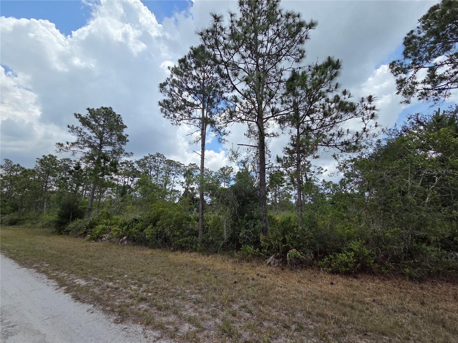 915 LAGUNA DR, INDIAN LAKE ESTATES, FL, 33855