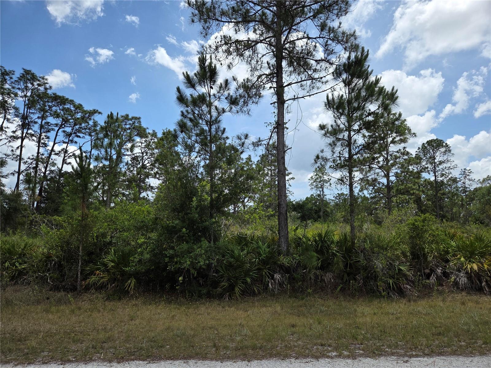 915 LAGUNA DR, INDIAN LAKE ESTATES, FL, 33855