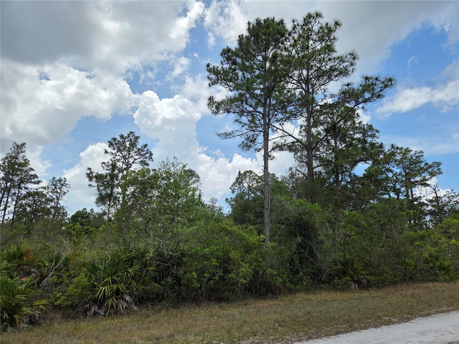 915 LAGUNA DR, INDIAN LAKE ESTATES, FL, 33855
