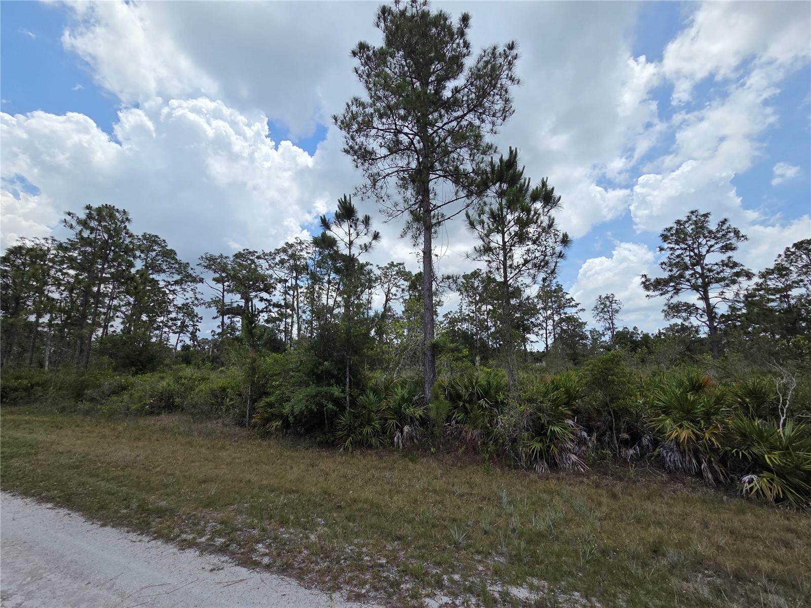 915 LAGUNA DR, INDIAN LAKE ESTATES, FL, 33855