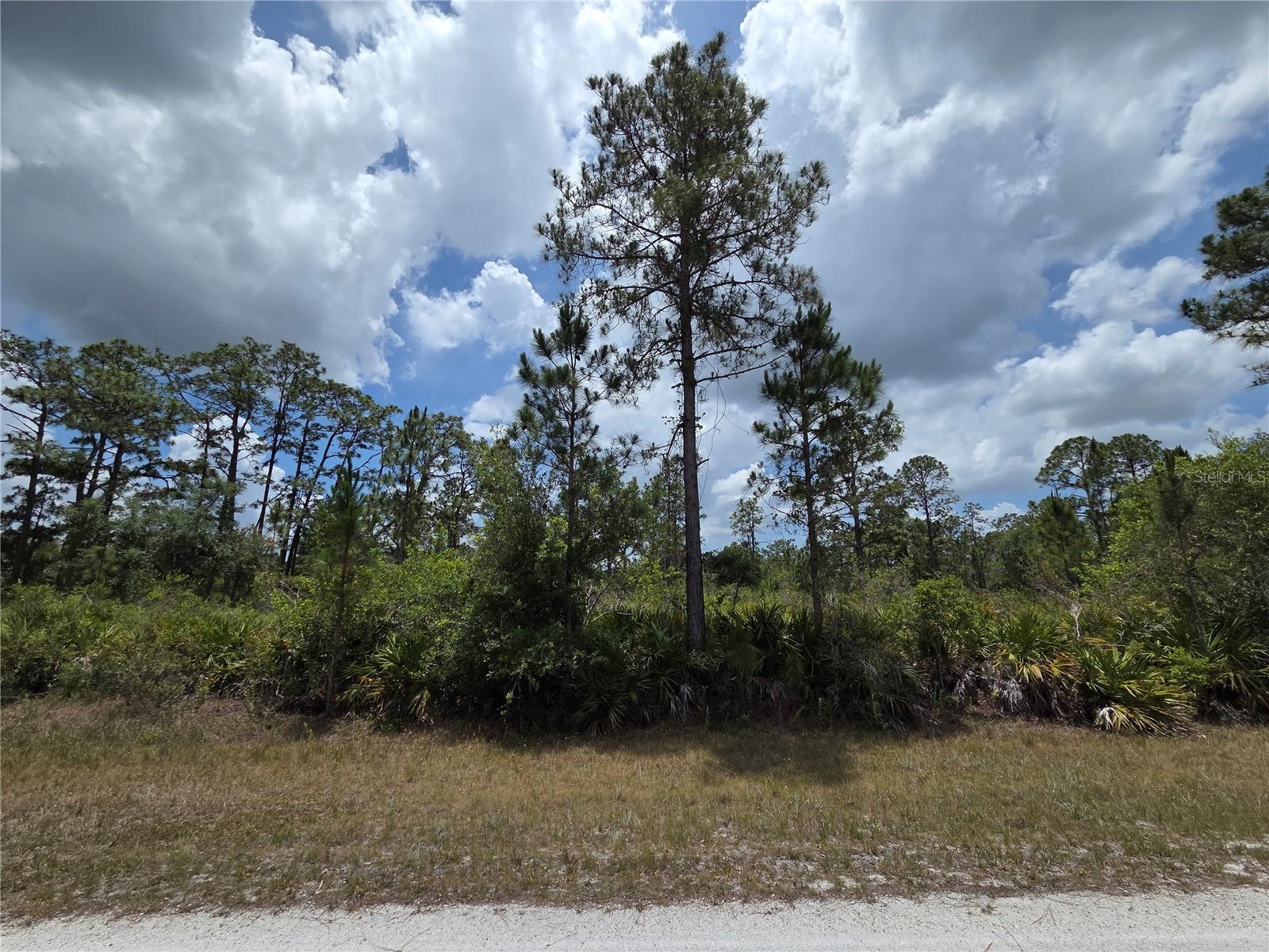 915 LAGUNA DR, INDIAN LAKE ESTATES, FL, 33855