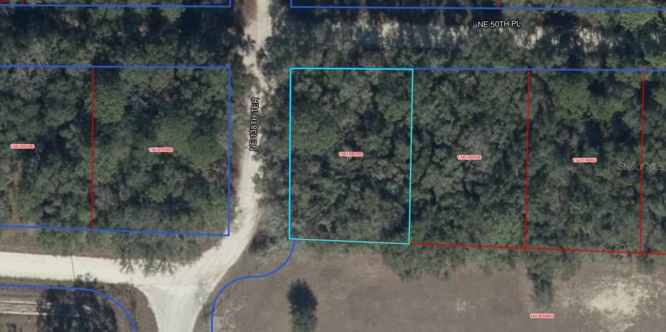 NE 50TH PL, WILLISTON, FL, 32696