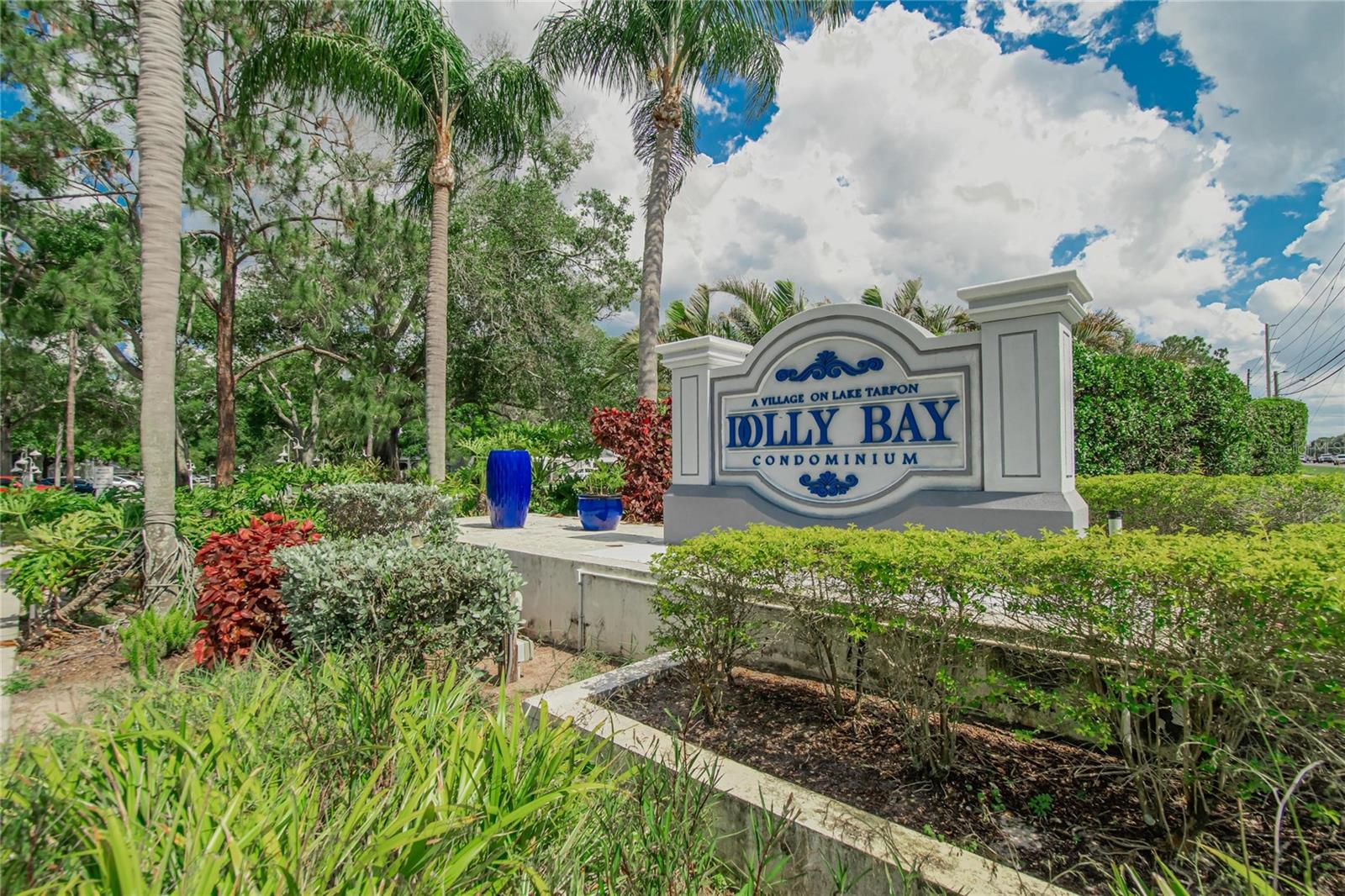 2599 DOLLY BAY DR #305, PALM HARBOR, FL, 34684