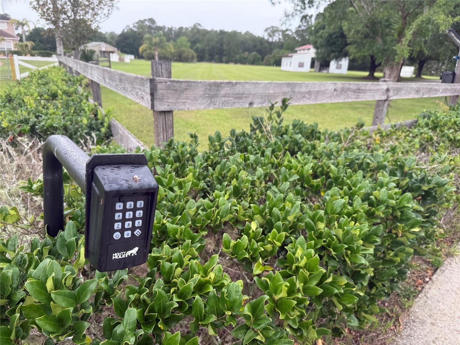 31405 BEAR POND DR, SORRENTO, FL, 32776