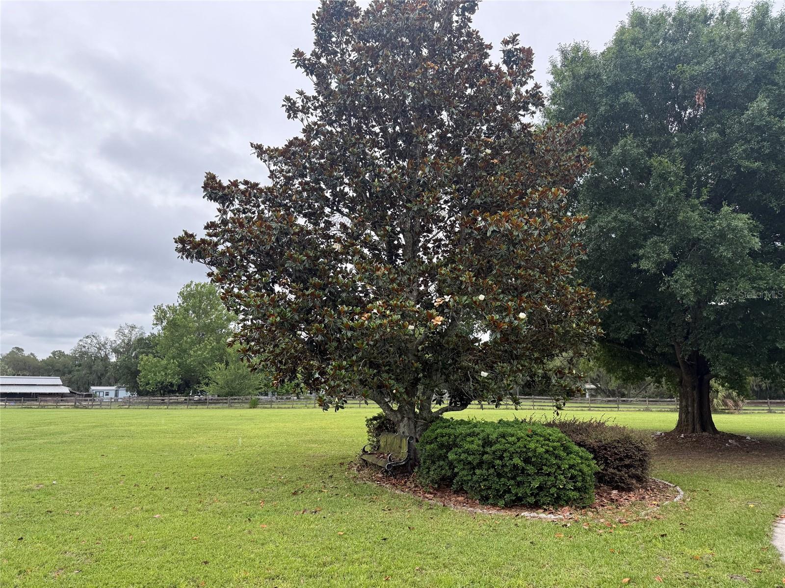 31405 BEAR POND DR, SORRENTO, FL, 32776