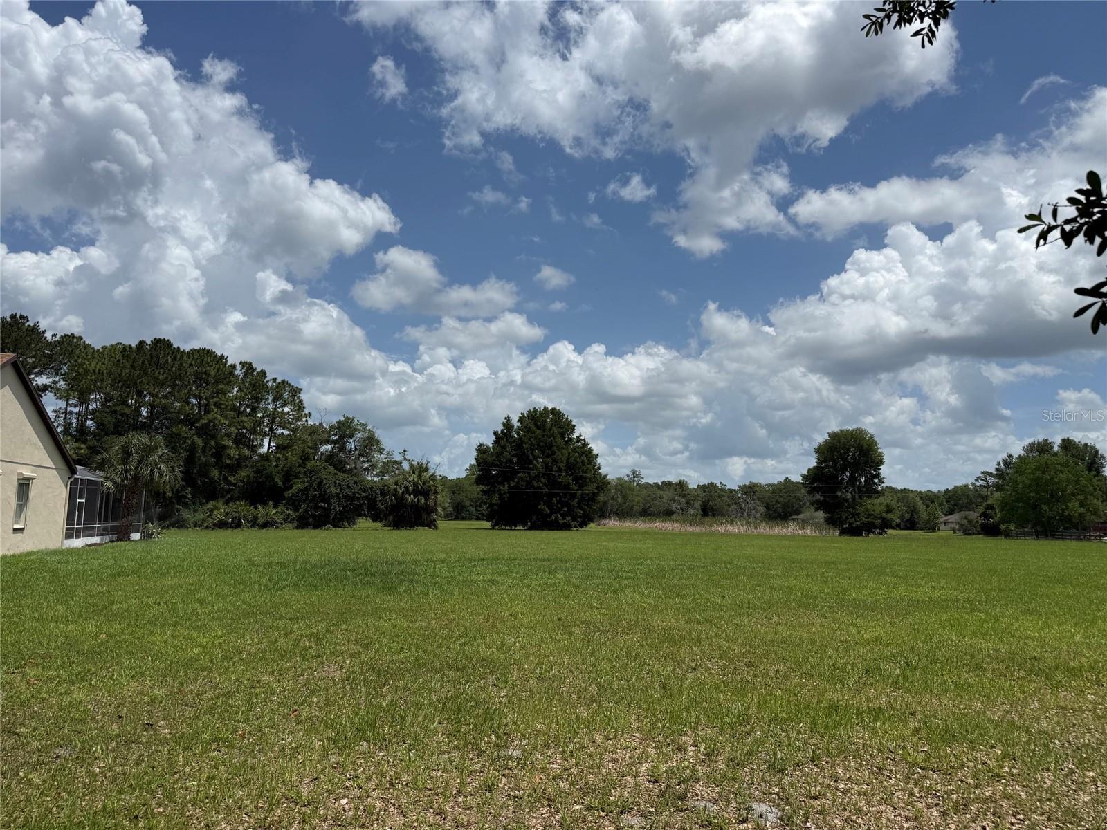 31405 BEAR POND DR, SORRENTO, FL, 32776