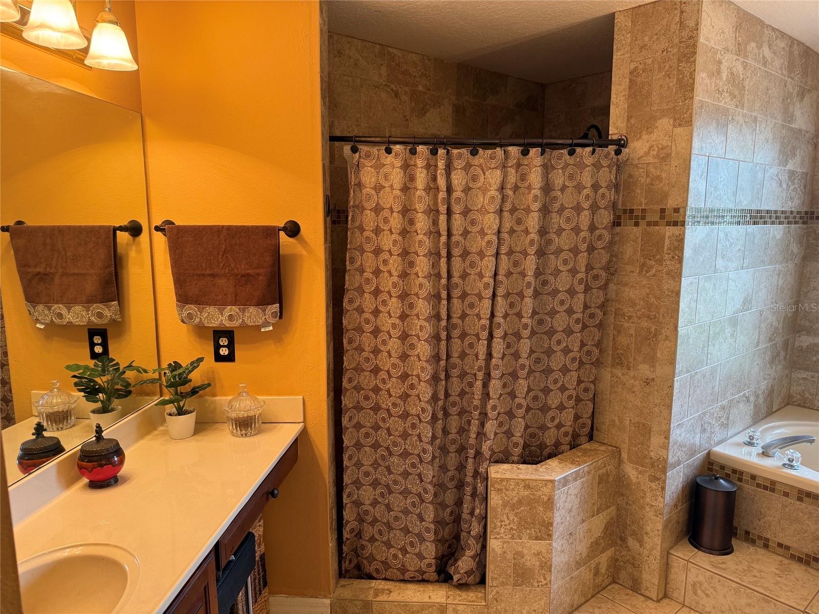 31405 BEAR POND DR, SORRENTO, FL, 32776
