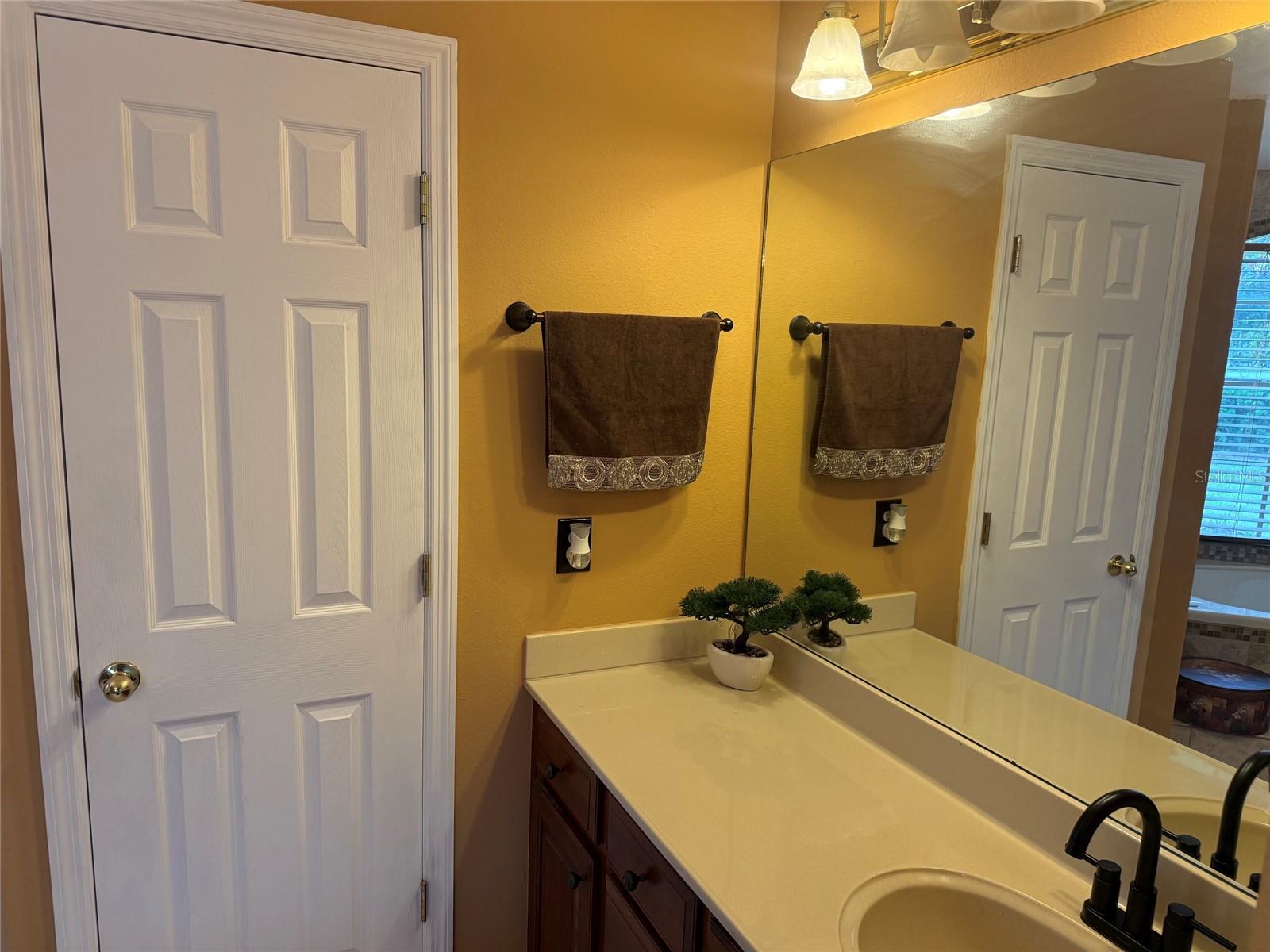 31405 BEAR POND DR, SORRENTO, FL, 32776