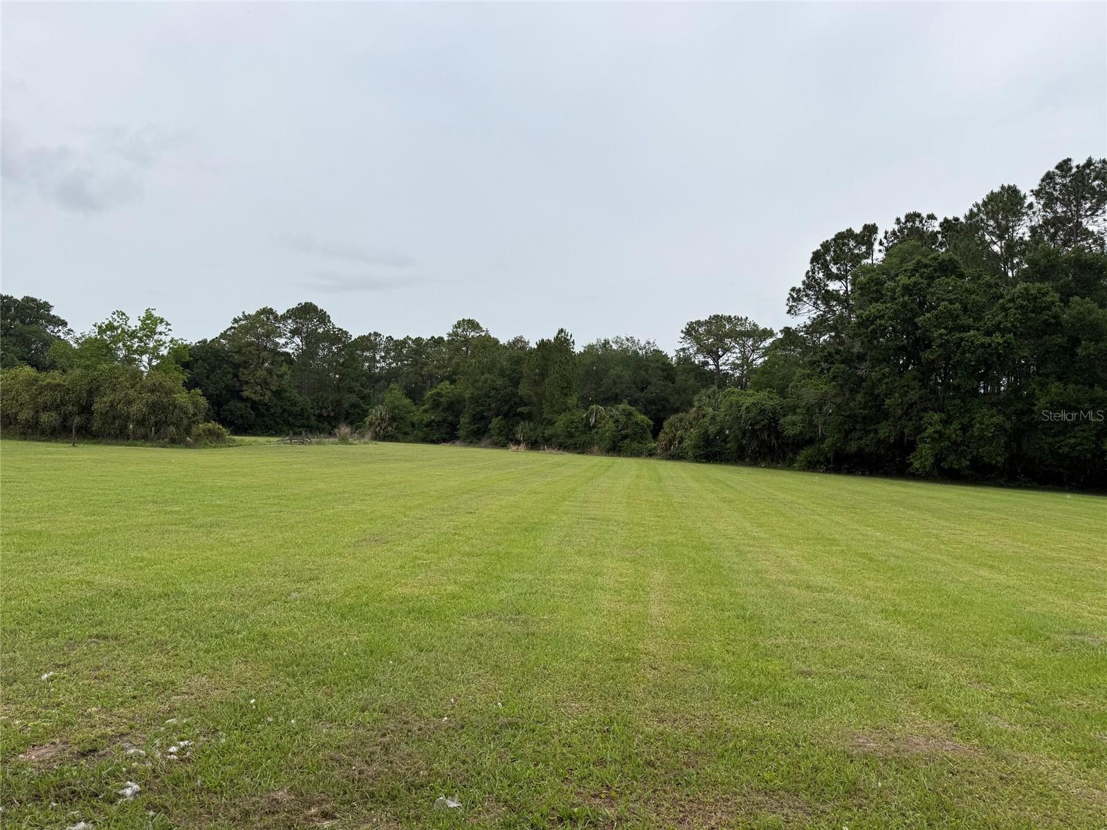 31405 BEAR POND DR, SORRENTO, FL, 32776