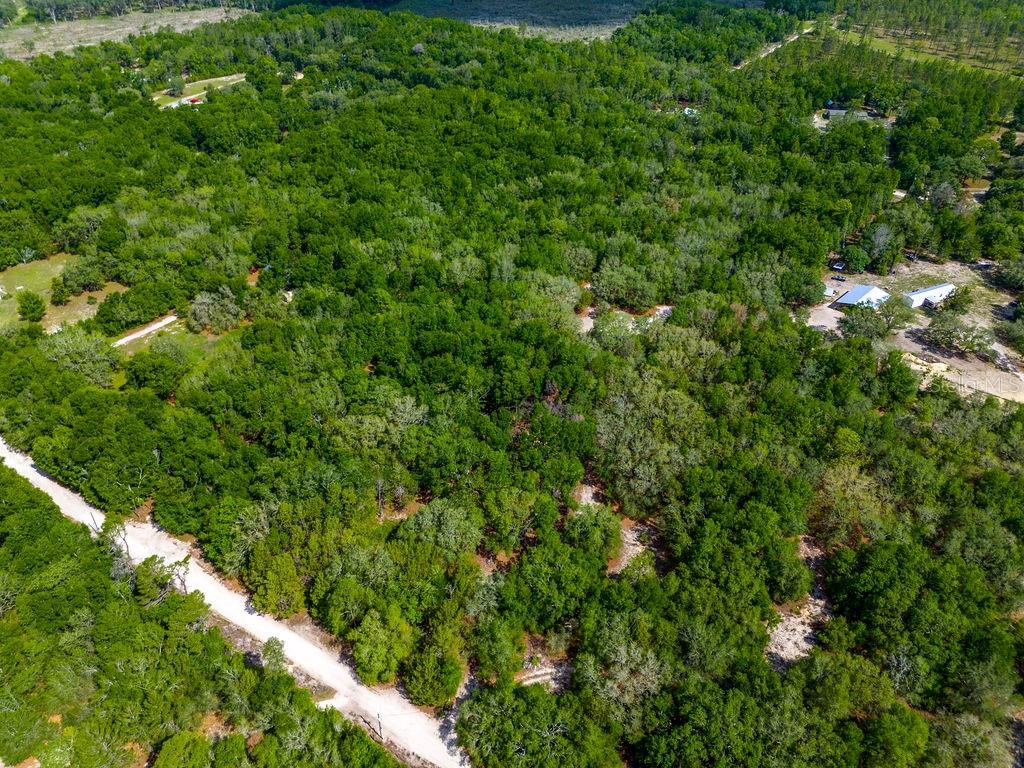 5350 SE 3RD LN, TRENTON, FL, 32693