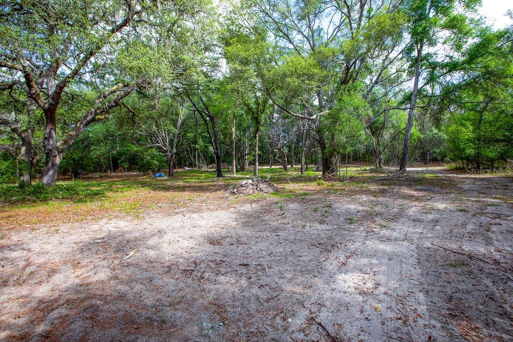 5350 SE 3RD LN, TRENTON, FL, 32693