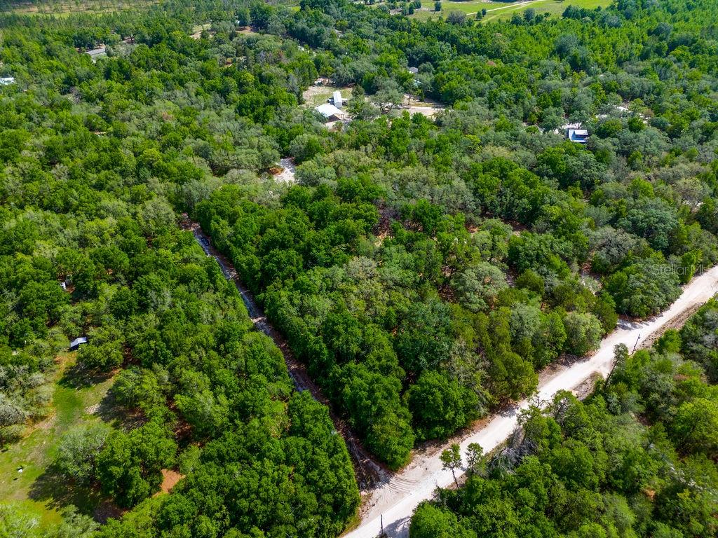 5350 SE 3RD LN, TRENTON, FL, 32693