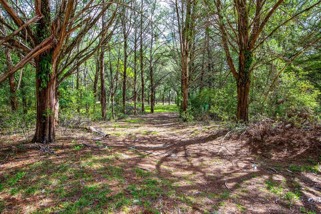 5350 SE 3RD LN, TRENTON, FL, 32693
