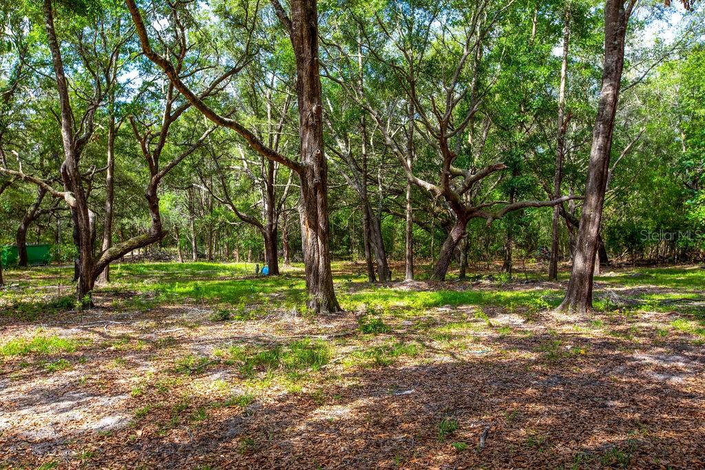 5350 SE 3RD LN, TRENTON, FL, 32693