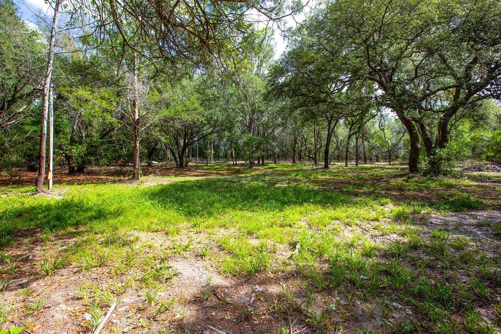 5350 SE 3RD LN, TRENTON, FL, 32693