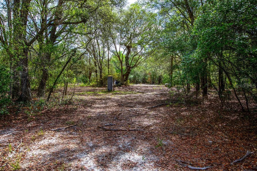 5350 SE 3RD LN, TRENTON, FL, 32693