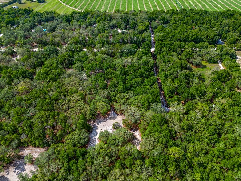 5350 SE 3RD LN, TRENTON, FL, 32693