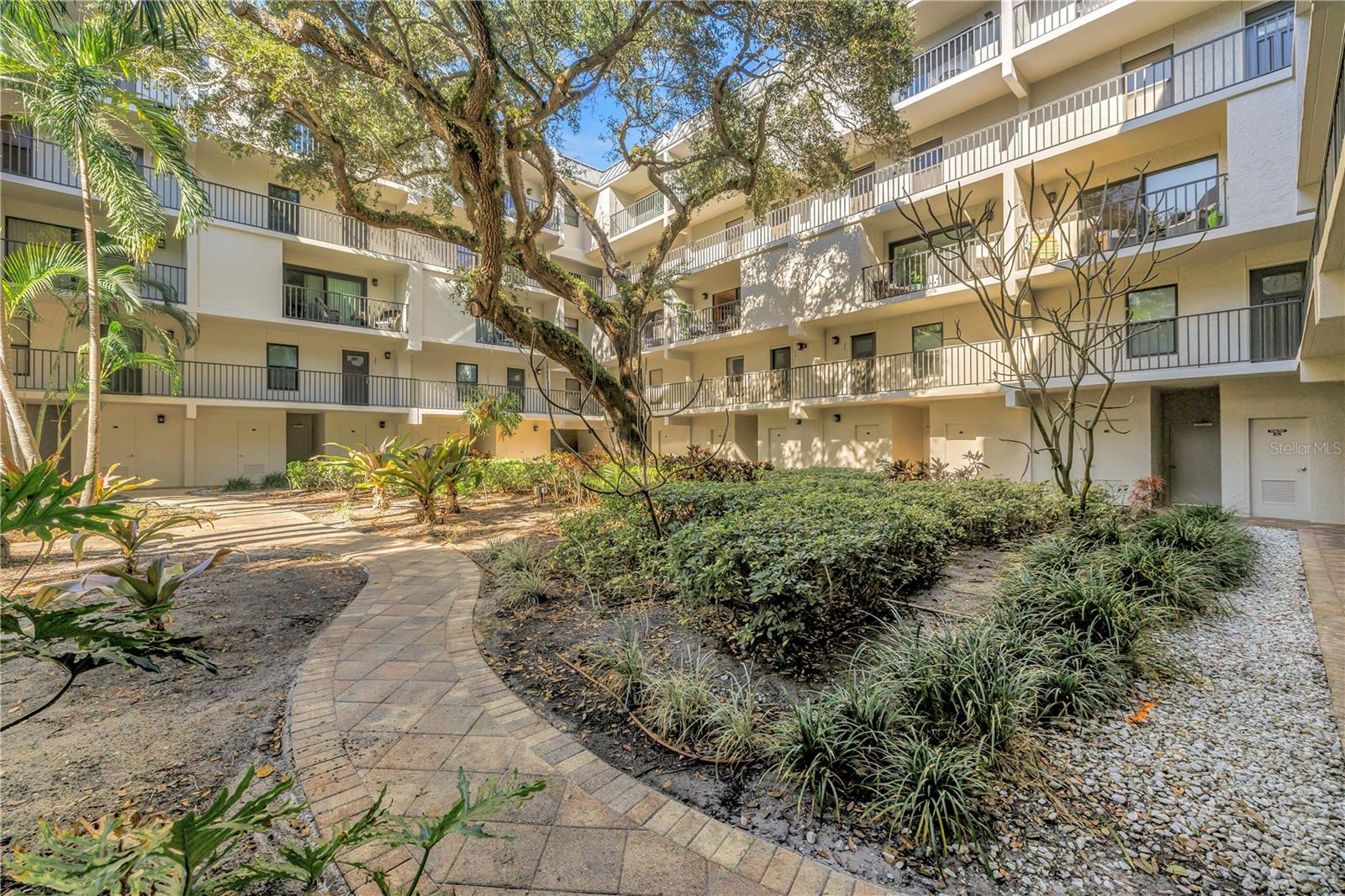105 4TH AVE NE #220, ST PETERSBURG, FL, 33701