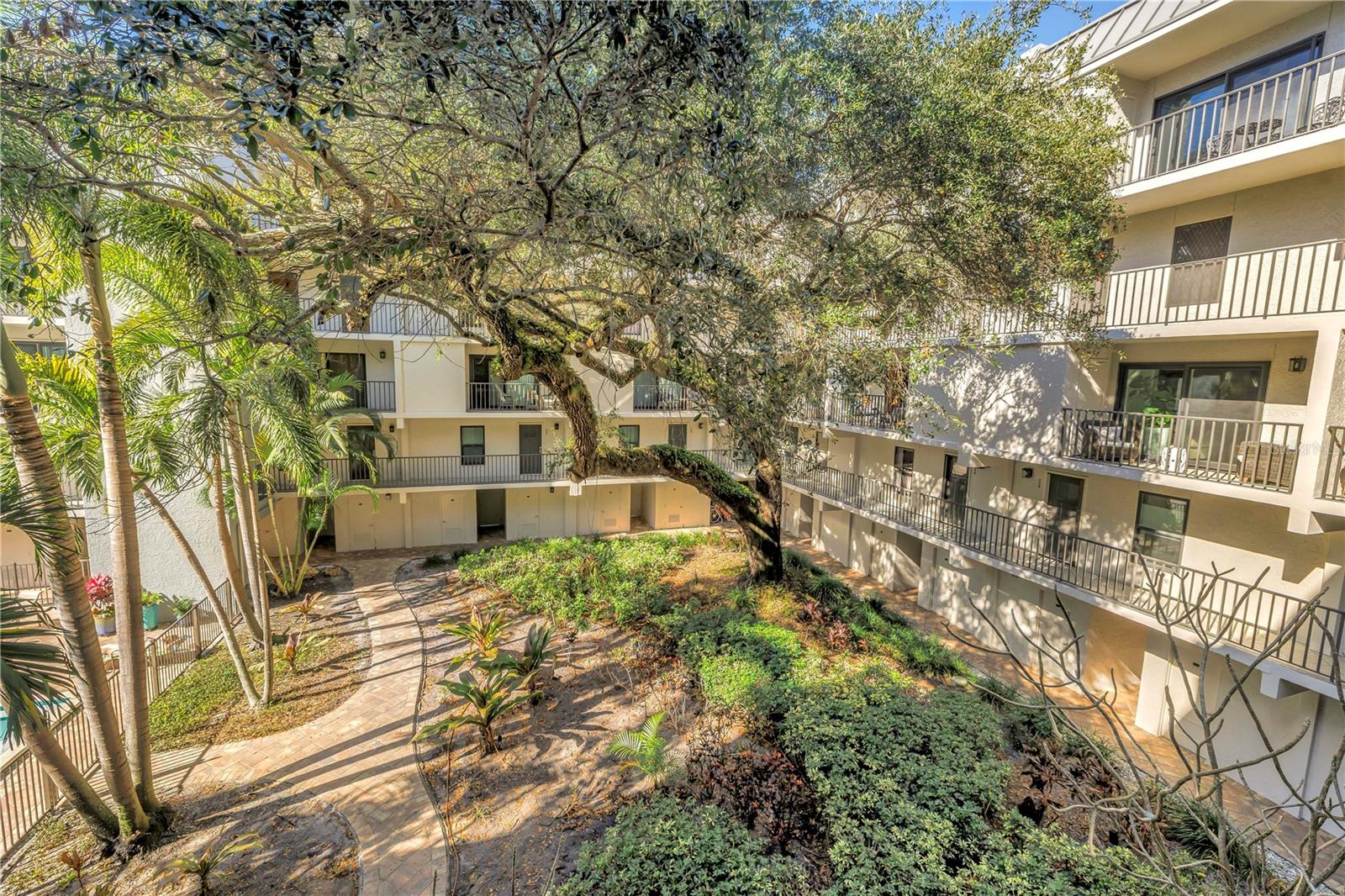 105 4TH AVE NE #220, ST PETERSBURG, FL, 33701