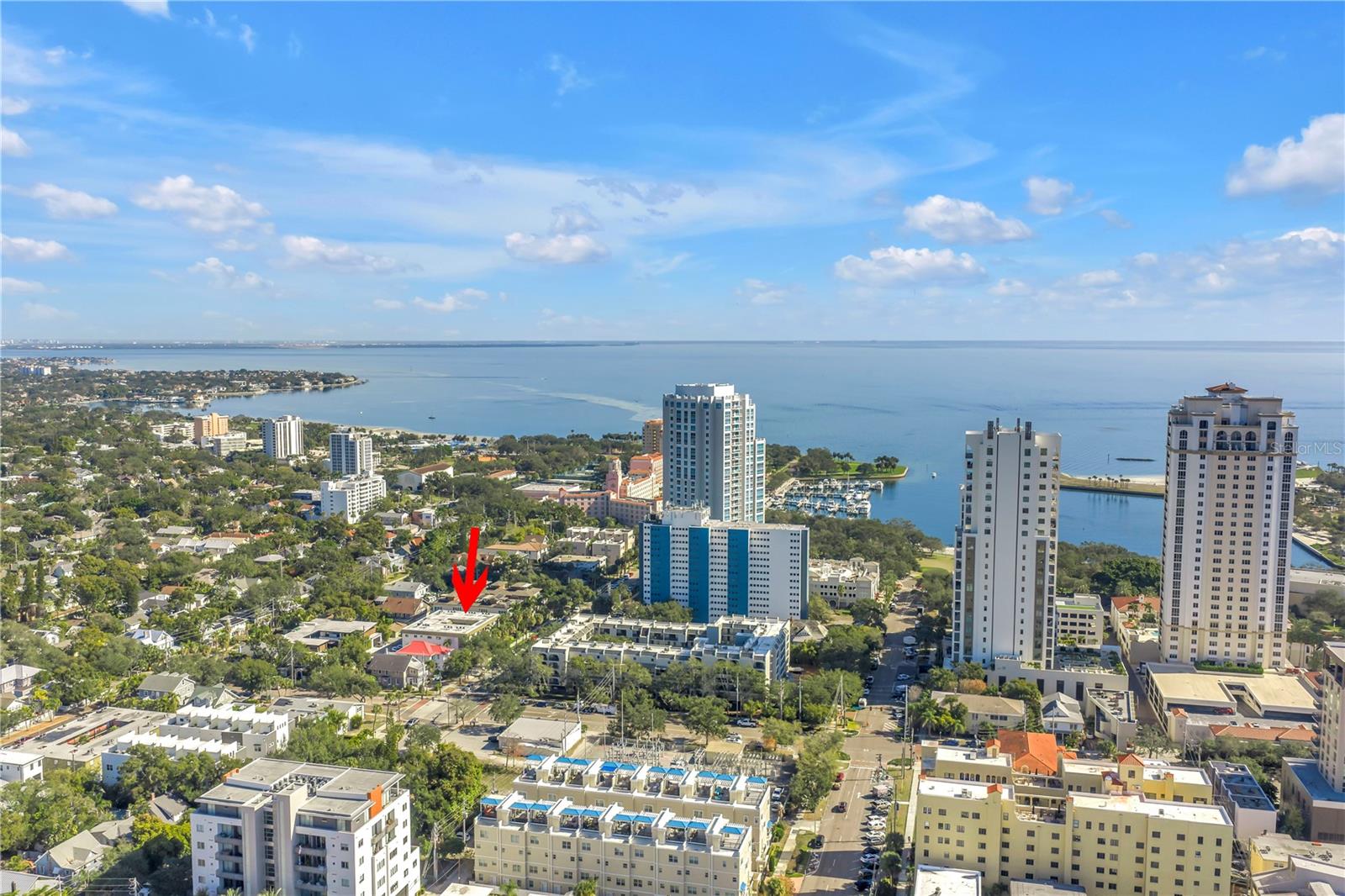 105 4TH AVE NE #220, ST PETERSBURG, FL, 33701