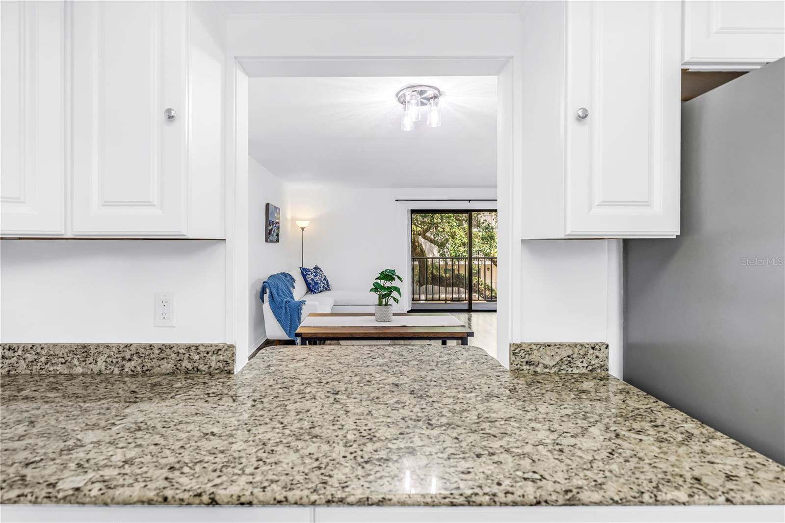 105 4TH AVE NE #220, ST PETERSBURG, FL, 33701