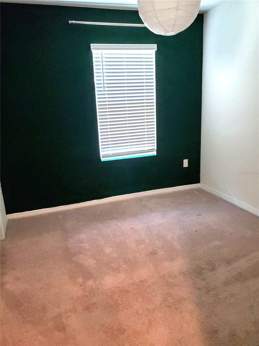 32871 BROOKS HAWK LN, WESLEY CHAPEL, FL, 33543