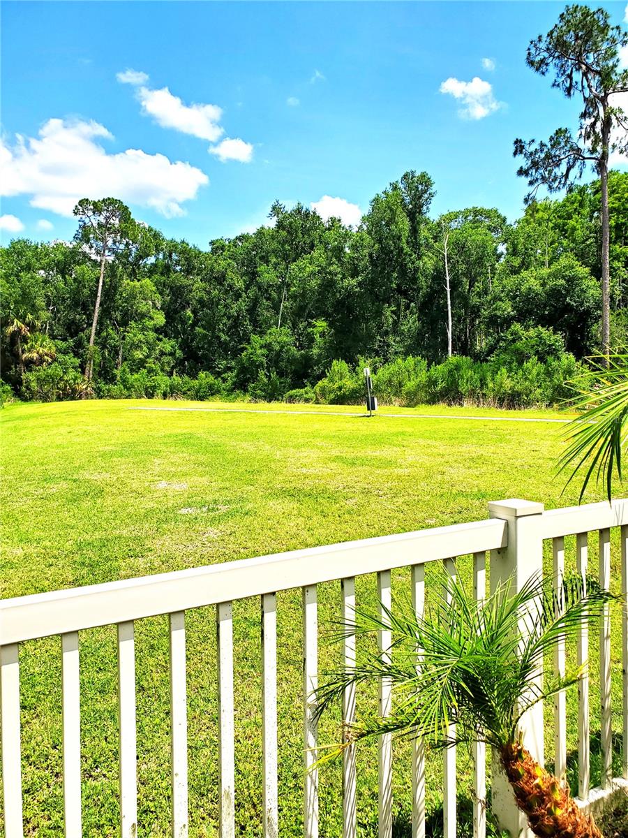 32871 BROOKS HAWK LN, WESLEY CHAPEL, FL, 33543