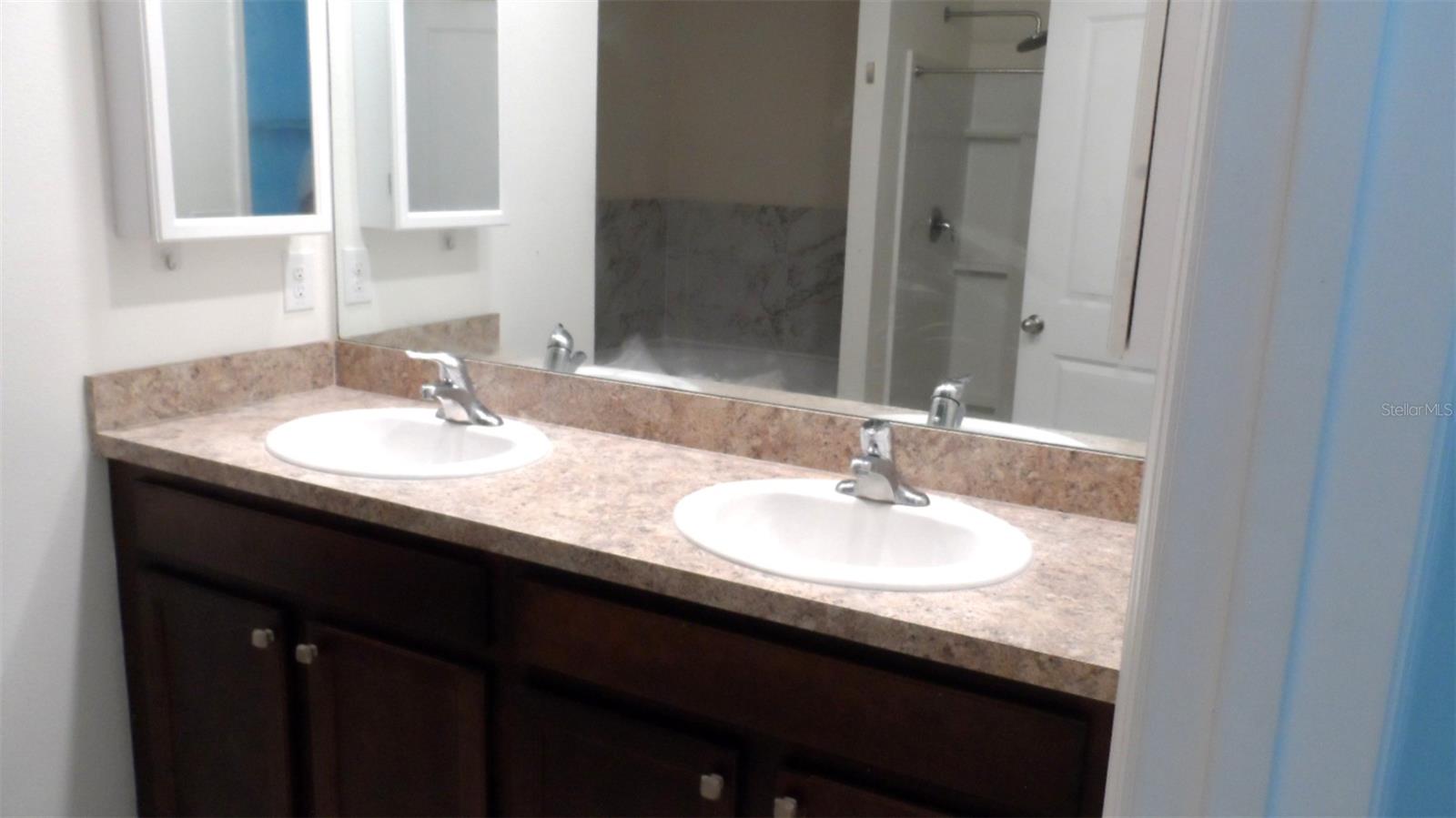 32871 BROOKS HAWK LN, WESLEY CHAPEL, FL, 33543