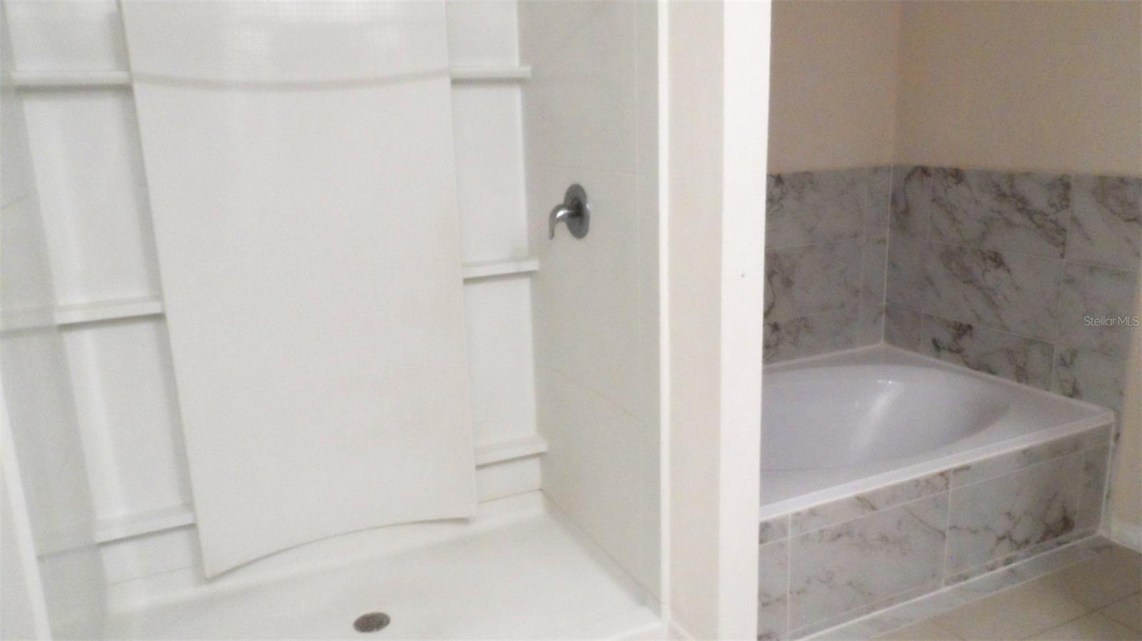 32871 BROOKS HAWK LN, WESLEY CHAPEL, FL, 33543