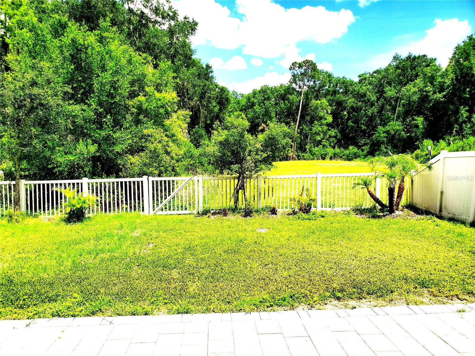 32871 BROOKS HAWK LN, WESLEY CHAPEL, FL, 33543