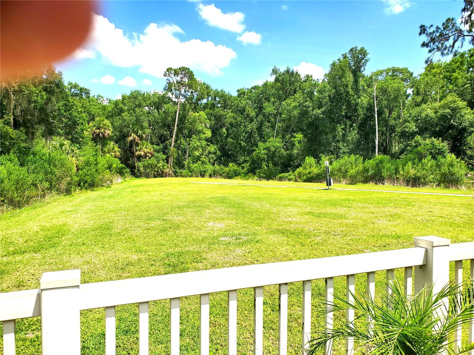 32871 BROOKS HAWK LN, WESLEY CHAPEL, FL, 33543
