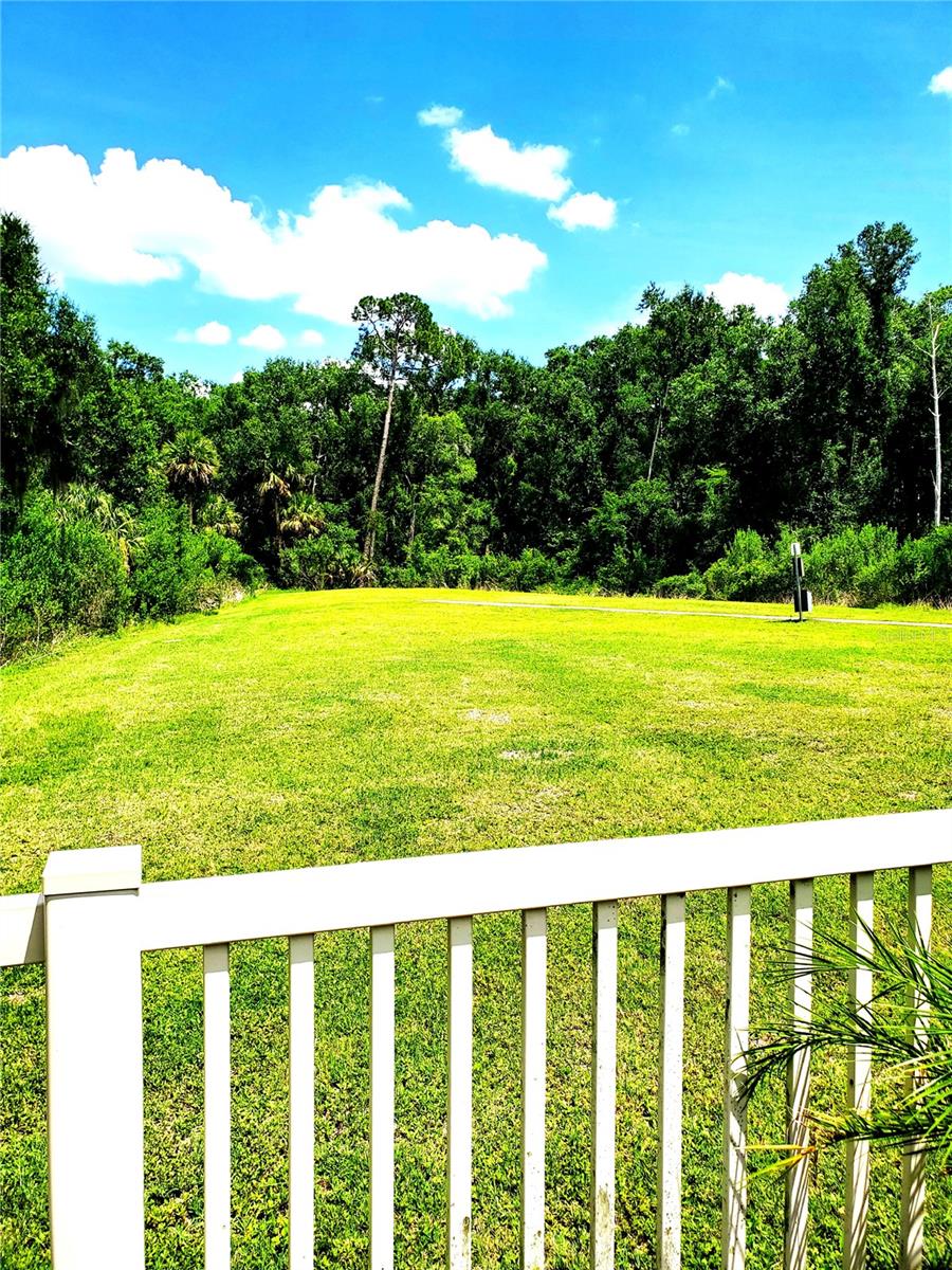 32871 BROOKS HAWK LN, WESLEY CHAPEL, FL, 33543