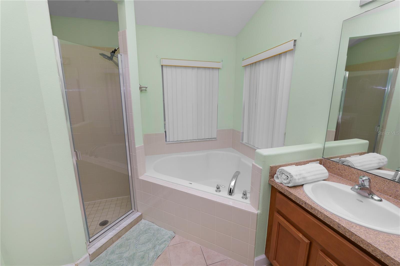 548 OLD BRIDGE CIR, DAVENPORT, FL, 33897