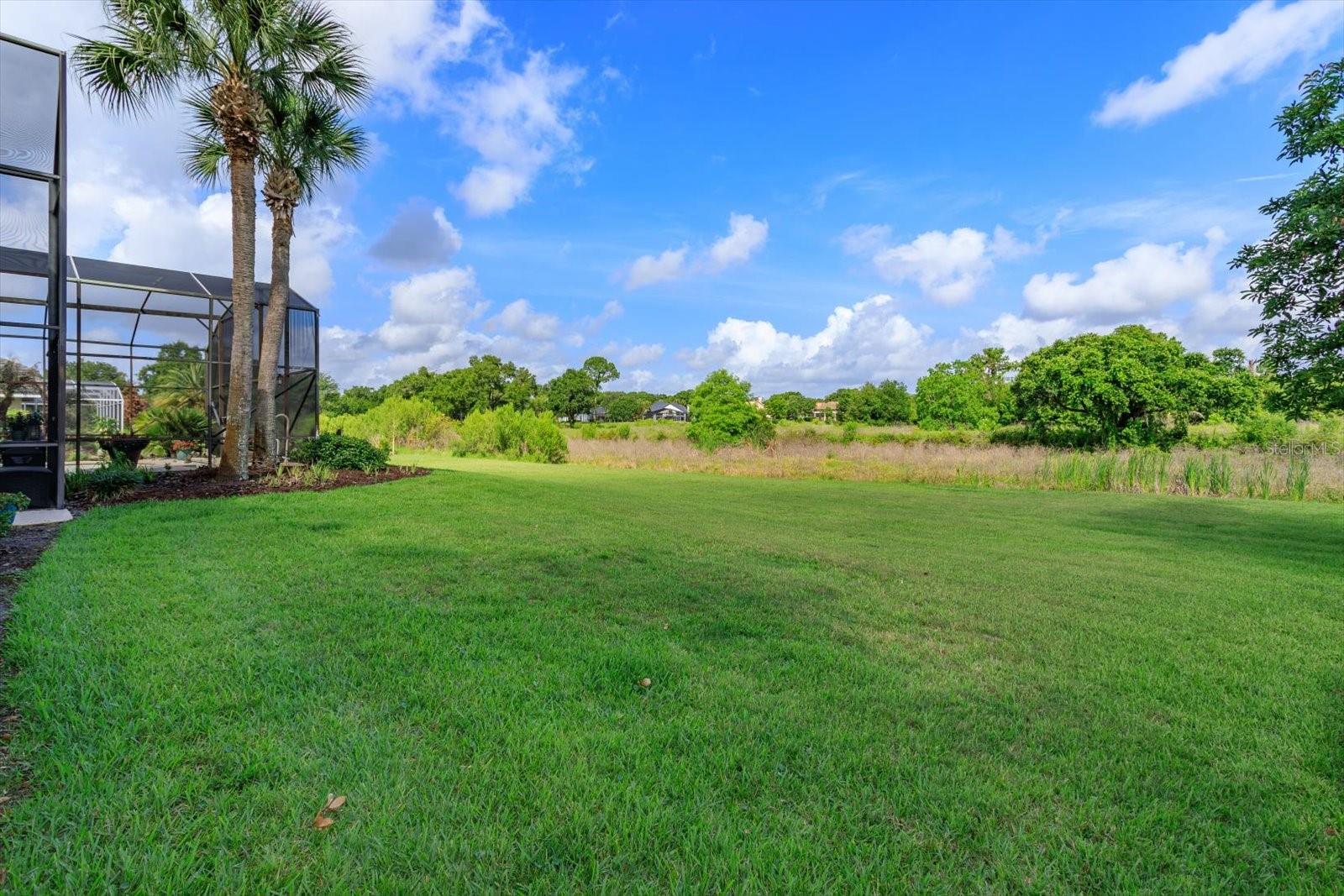 2428 BUTLER BAY DR N, WINDERMERE, FL, 34786