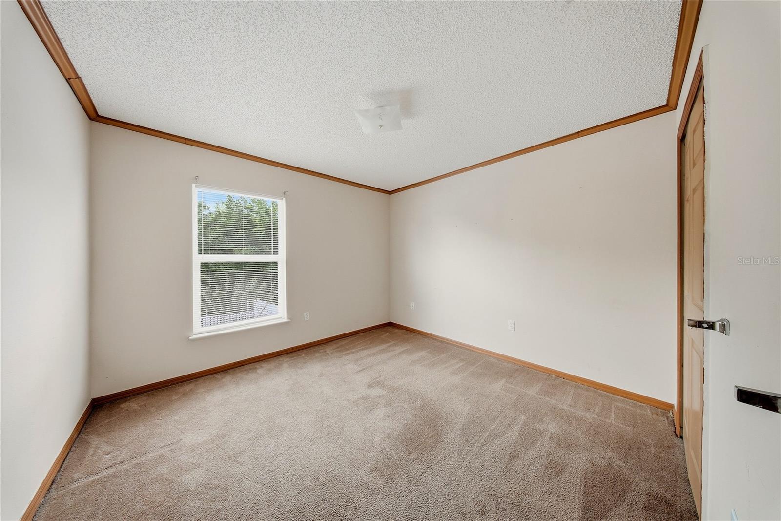 24945 RAVELLO ST, LAND O LAKES, FL, 34639