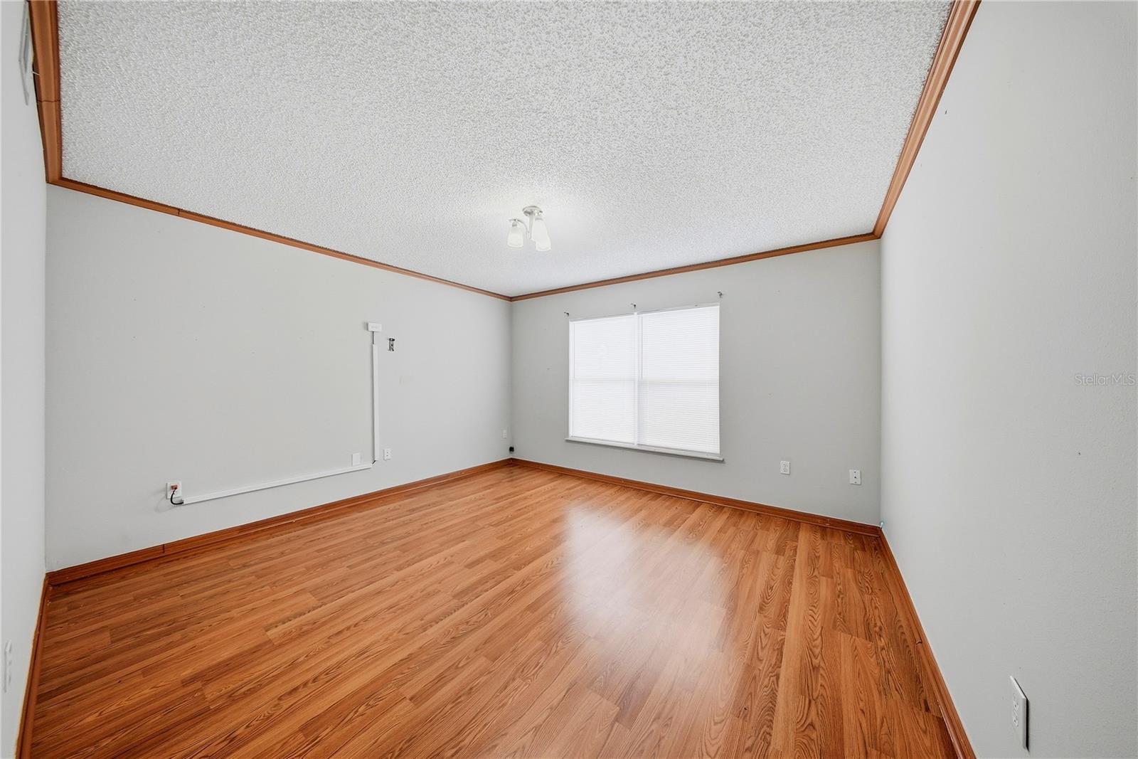 24945 RAVELLO ST, LAND O LAKES, FL, 34639