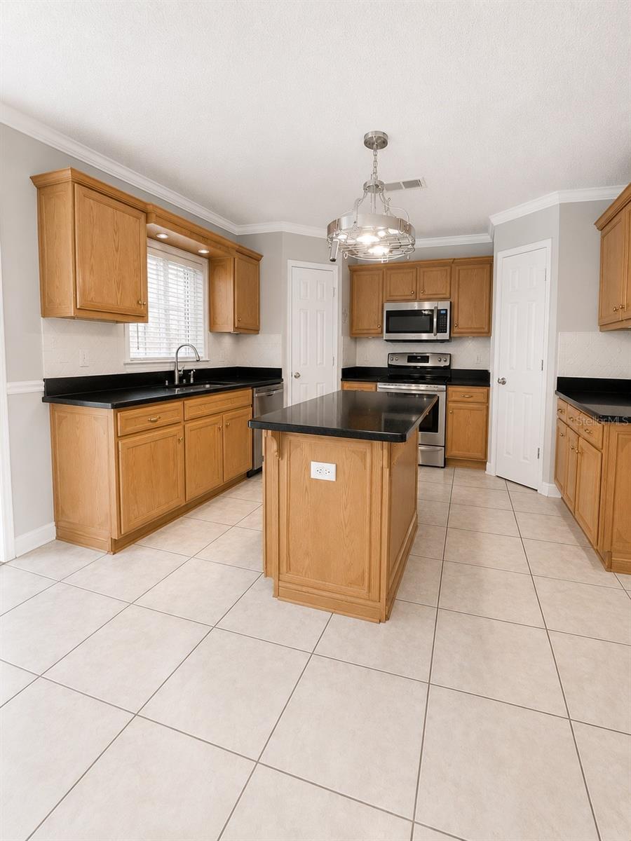 24945 RAVELLO ST, LAND O LAKES, FL, 34639