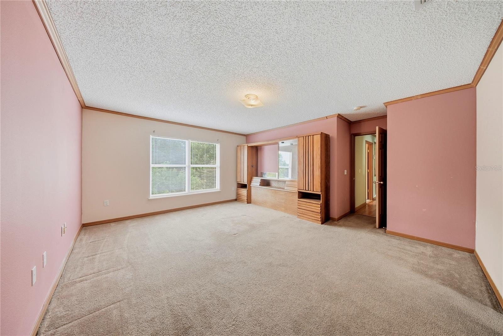 24945 RAVELLO ST, LAND O LAKES, FL, 34639