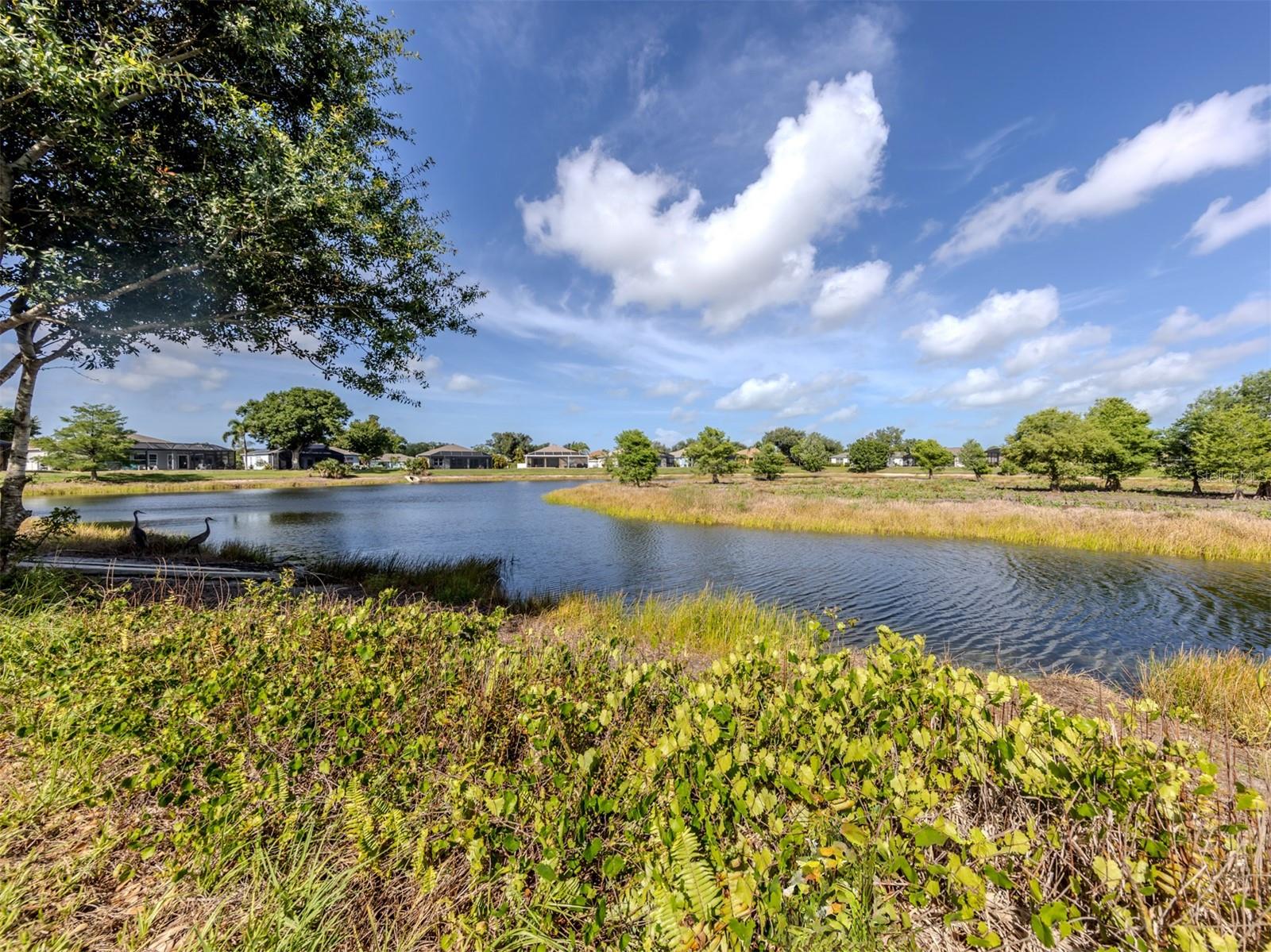 4322 MANFIELD DR, VENICE, FL, 34293