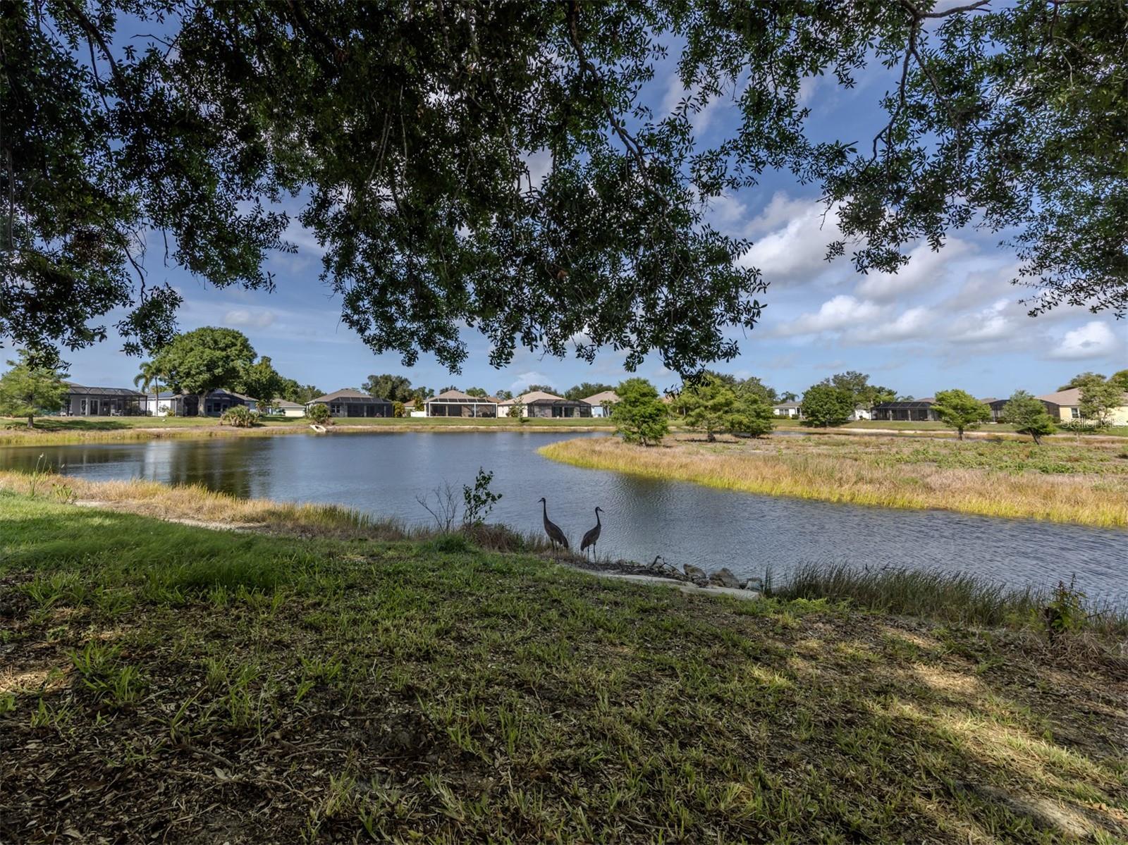 4322 MANFIELD DR, VENICE, FL, 34293