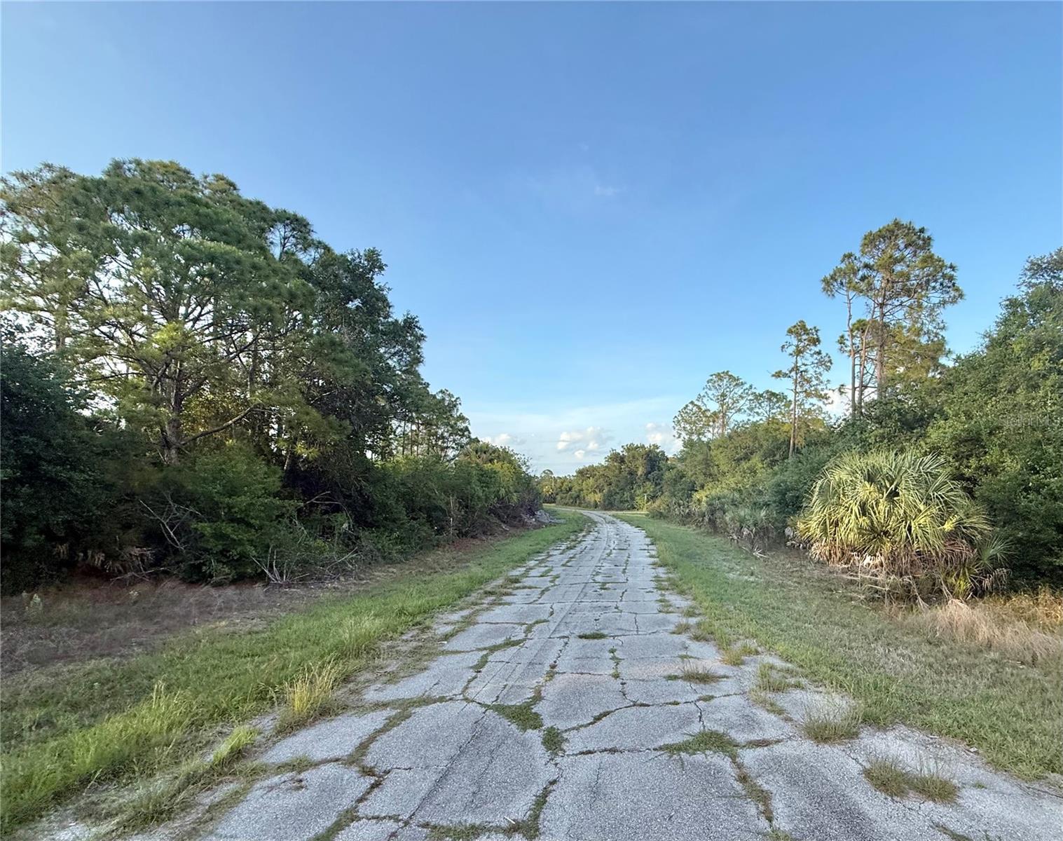Lot 23 HINSHAW AVE, NORTH PORT, FL, 34288