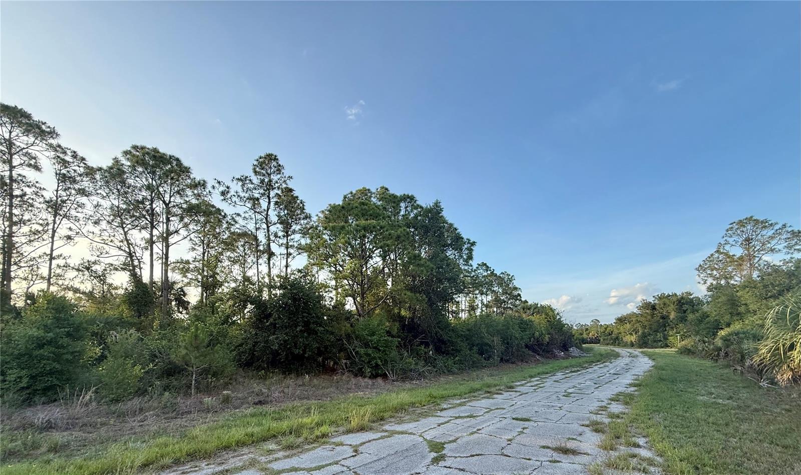 Lot 23 HINSHAW AVE, NORTH PORT, FL, 34288