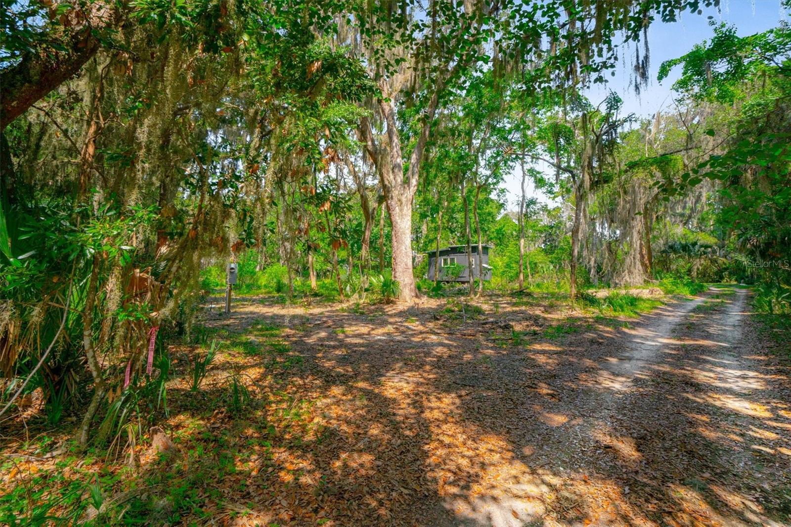 10474 SALT MARSH TRL, JACKSONVILLE, FL, 32226