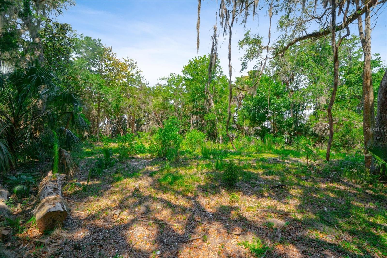 10474 SALT MARSH TRL, JACKSONVILLE, FL, 32226