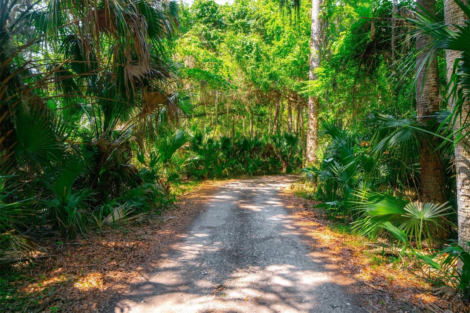 10474 SALT MARSH TRL, JACKSONVILLE, FL, 32226