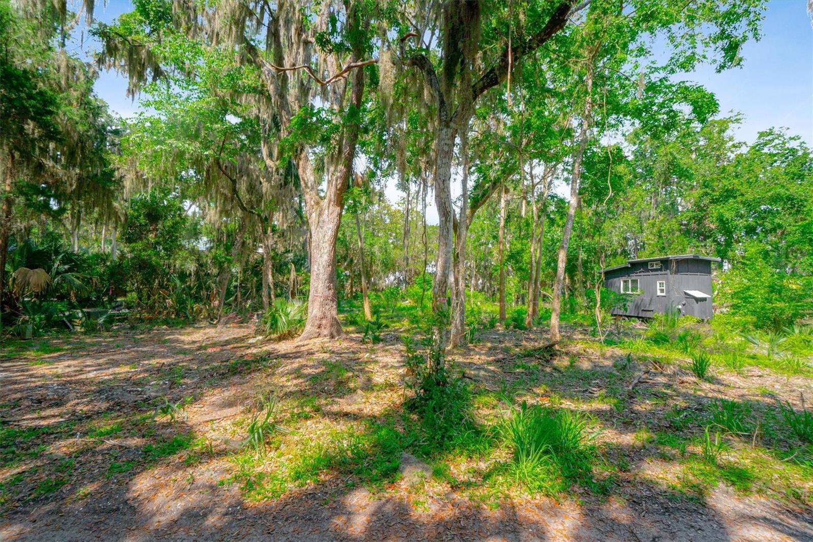 10474 SALT MARSH TRL, JACKSONVILLE, FL, 32226